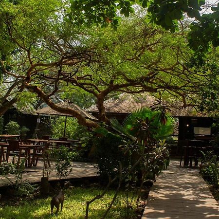 Acacia Village Djouba Extérieur photo