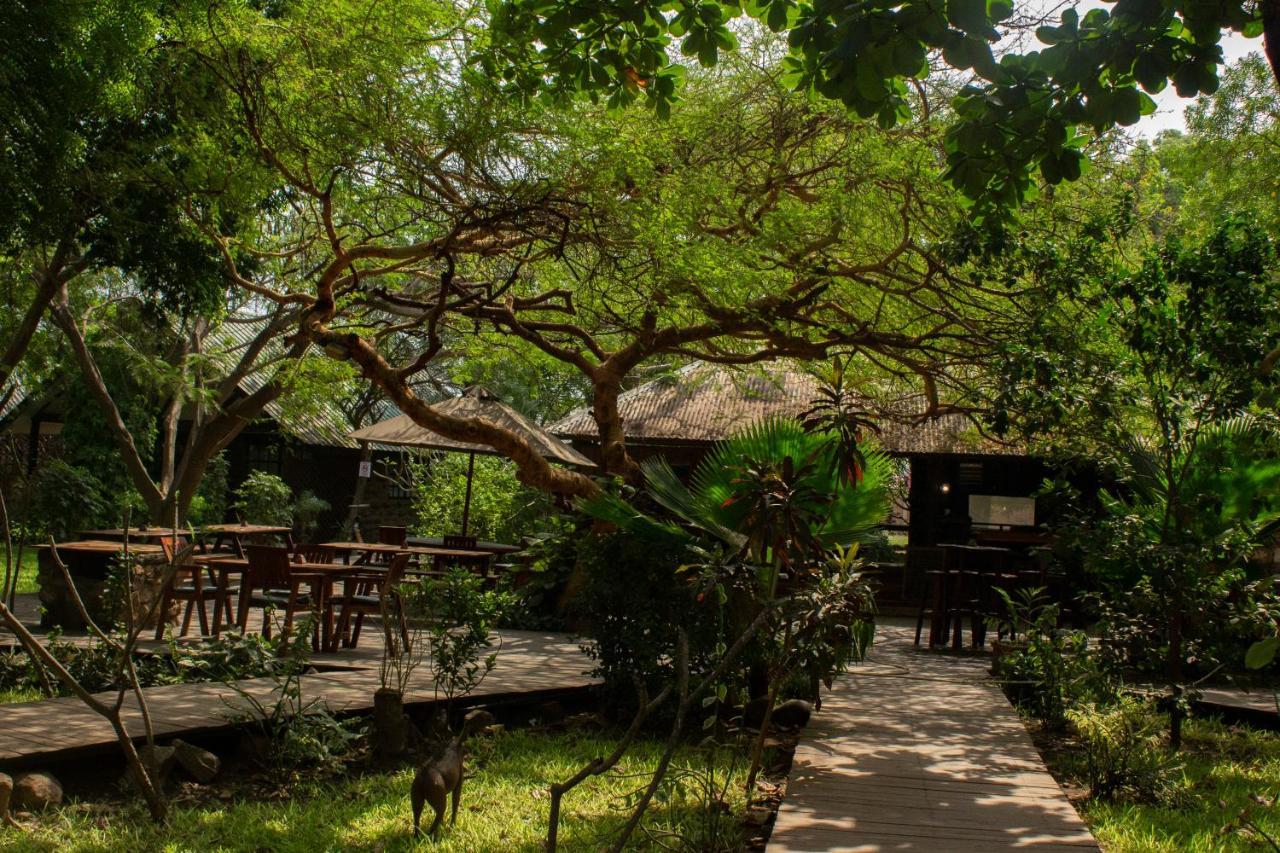 Acacia Village Djouba Extérieur photo